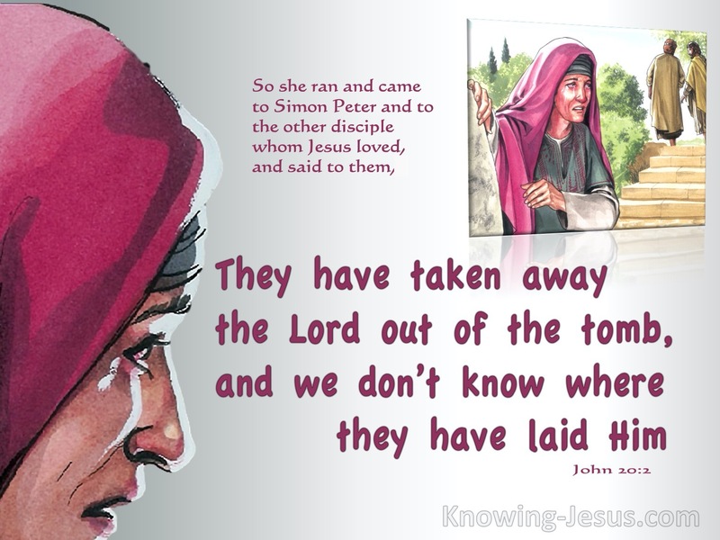John 20:2 Mary Ran To Simon Peter And The Other Disciple (red)